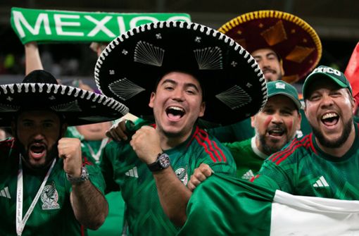 Mexikanische Fans verwundern unseren WM-Reporter mit einer überraschenden Frage. (Symbolbild) Foto: imago//Florencia Tan Jun