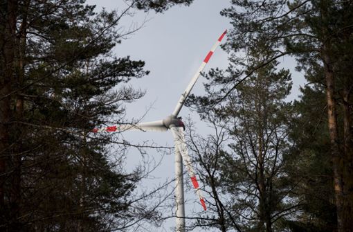 Über mögliche Windräder im Wald spitzt sich die Diskussion im Bottwartal immer weiter zu. Foto: dpa/Daniel Vogl