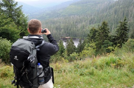 Fraktionschef  Hauk verlangt Alternativen zum  Nationalpark Nordschwarzwald und     schlägt Bürgerbefragungen vor. Foto: dpa