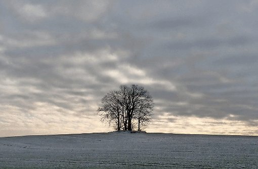 Wintermorgen in Pommern.  Foto: Welzhofer