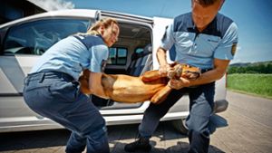 Die Polizeihundeführer Claudia Dieth und Benjamin Kolb stellen nach, wie sie einen Hund aus dem Auto retten. Foto: Gottfried Stoppel