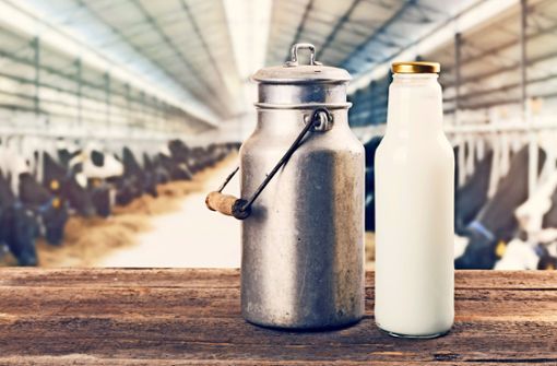 Seit Jahren ist es nicht  sicher, dass die Milchproduktion   Bauernfamilien ernähren kann. Foto: Adobe Stock