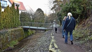 Naturnaher  Bußbach  als   Hochwasserschutz