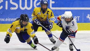 Eishockey-Minis im Spiel: Der Vereinssport in Württemberg sucht einen neuen Chef Foto: Baumann