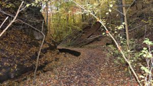 Der Schwälblesbach hat sich eine malerische Klinge durch den Wald gegraben. Foto: /Schwarz