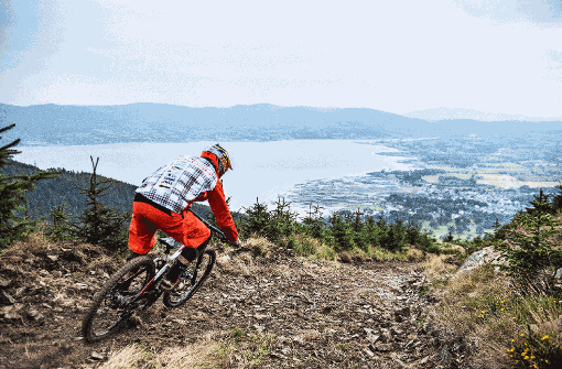 Die Mountainbiker haben keinen Blick für die Landschaft: Auf der Strecke des Red Bull Fox Hunt in Rostrevor sind höchste Konzentration und Köperbeherrschung nötig. Foto: Kemmner