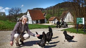 Die Museumsleiterin Steffi Cornelius füttert die Augsburger Hühner. Die  bedrohte Rasse hat im Freilichtmuseum Beuren Unterschlupf gefunden – auch ein Zeichen für ein lebendiges Museum. Foto: Ines Rudel