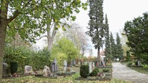 Inzwischen ist der kleine Friedhof in Hohenheim ein gepflegter Ort der Ruhe.  Foto: Lichtgut/Leif Piechowski