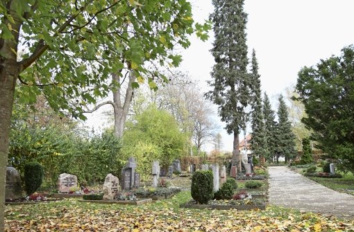 Inzwischen ist der kleine Friedhof in Hohenheim ein gepflegter Ort der Ruhe.  Foto: Lichtgut/Leif Piechowski