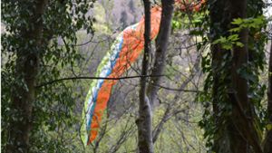 Der Schirm des Mannes verfing sich in zwei Bäumen. Foto: dpa/Wagner