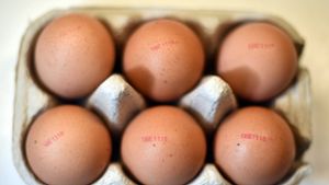 Eier haben dem Lebensmittel- und Futtermittelgesetz nach nur einen Herkunftsstempel. Foto: dpa/Symbolbild