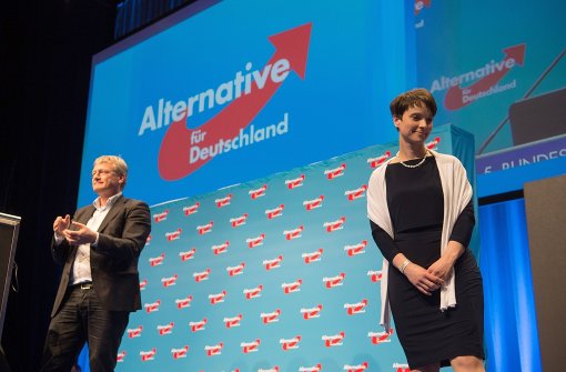 Die AfD ist mit Streitereien beschäftigt. Auch zwischen den Parteivorsitzenden Jörg Meuthen und Frauke Petry kriselt es. Foto: dpa