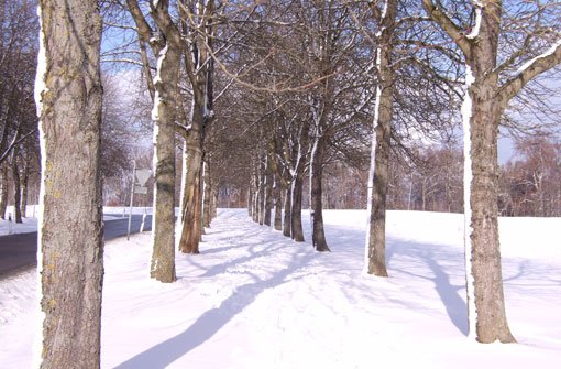 Bestes Wetter und dazu endlich Schnee - nicht nur wie hier am Ludwigsburger Schloss Solitude blieb einiges Weiß liegen. Foto: Leserfotograf capricorn