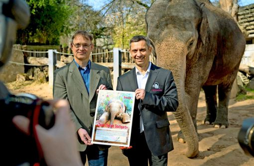 Stefan Ziegler (links) vom WWF und Wilhelma-Chef Thomas Kölpin haben das  neue Elefantenprojekt in der Wilhelma vorgestellt. Foto: Lichtgut/Max Kovalenko