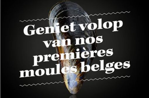 Die Belgier können nun die ersten Muscheln aus dem eigenen Land genießen, verspricht die Werbung der Einzelhandelskette Colruyt. Der Satz ist typisch belgisch, eine Mischung aus Flämisch und Französisch. Foto: Krohn/Krohn
