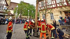In diesem Jahr fällt das Maibaumaufstellen in Echterdingen ins Wasser. Der  28 Meter hohe Maibaum ist zu groß. Er erfüllt die Anforderungen an den Sicherheitsabstand nicht. Foto: Günter E. Bergmann