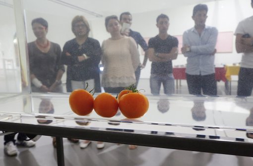 Das Kunstwerk mit den schwebenden Tomaten fasziniert die Besucher. Foto: Patricia Sigerist