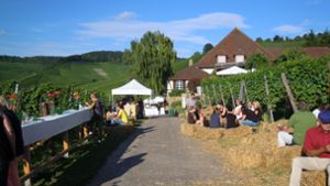 Bei der Weinmeile können die Besucher die Kulisse und Weine gleichermaßen genießen. Foto: z