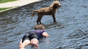 Hundstage mit Hund: In Deutschland ist vorerst keine neue Hitzewelle in Sicht.  Foto: dpa