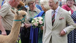 Königin Charles III., Königin Camilla und das Alpaka. Foto: imago/Parsons Media