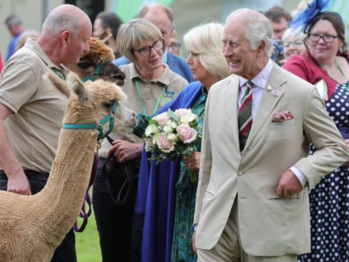 Königin Charles III., Königin Camilla und das Alpaka. Foto: imago/Parsons Media