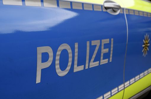 Die Polizei sucht einen etwa 25 Jahre alten Mann, der am Montag   im ICE zwischen Horb und Stuttgart gefahren ist. Foto: Eibner/Fleig