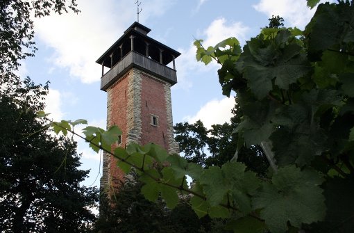 Der Burgholzhofturm ist am Wochenende geöffnet. Foto: Georg Friedel