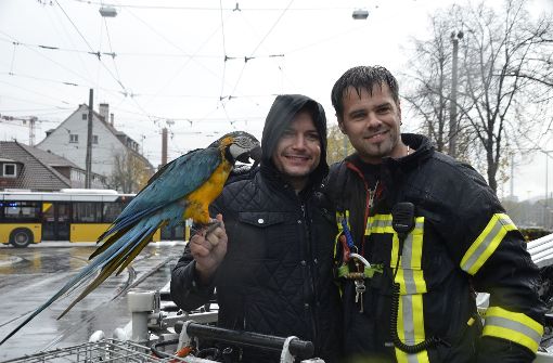 Zufriedene Gesichter nach der Rettung durch die Feuerwehr und seiner Vogeldame Gipsy: Gelbbrust-Papagei Paco ist mit seinem Tiertrainer Alessio Fochesato wieder vereint. Foto: Andreas Rosar Fotoagentur-Stuttgart