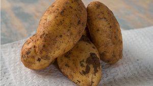 Kartoffeln heißen mal „Grombiera“ und mal „Äbiera“. Foto: dpa