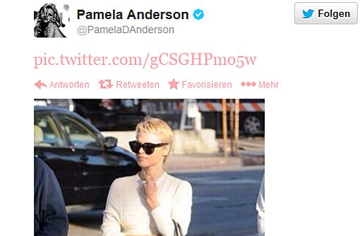 Mit dieser Kurzhaar-Frisur hat sich Pamela Anderson nun auf ihrem Twitter-Profil gezeigt. Foto: Twitter/PamelaDAnderson / Screenshot: SIR