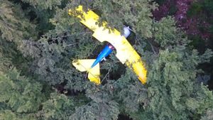 Etwa 13 Stunden hing der Pilot in einem Baum bei Weißenstein im Landkreis Göppingen, ehe er von Rettungskräften geborgen werden konnte. Foto: Stadtverwaltung Schwäbisch Gmünd