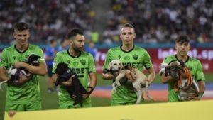 Spieler des Erstligisten Dinamo Bukarest tragen die Hunde ins Stadion. Foto: imago images/NurPhoto/Alex Nicodim