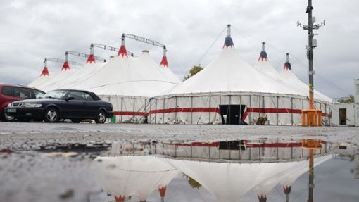 Das Zelt für den Weltweihnachtscircus ist nun auf dem Cannstatter Wasen aufgebaut. Foto: Lg/Max Kovalenko