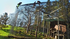 Bereits Mitte Februar wurde ein feinmaschiges Netz über die Geiervoliere gespannt.  So sollen die Vögel vor einer Ansteckung geschützt werden. Foto: Sebastian Steegmüller