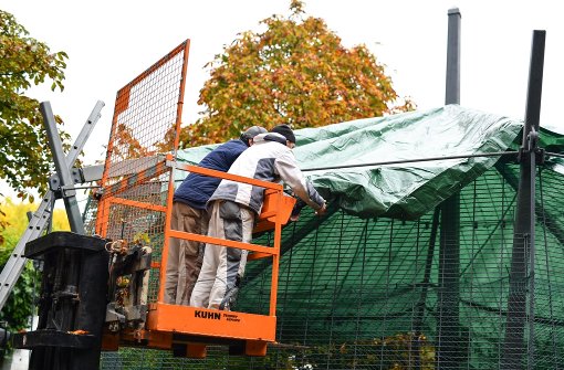 Im Luisenpark in Mannheim war die Vogelgrippe ausgebrochen. Foto: dpa
