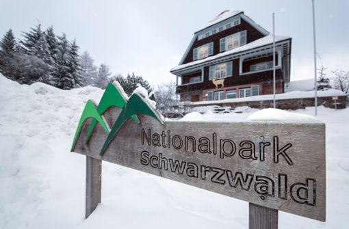 Der Schwarzwald ist eines der Haupttouristenziele im Südwesten. Foto: dpa