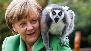 Bundeskanzlerin Angela Merkel (CDU) füttert beim Besuch des Vogelparks Marlow einen Lemuren auf der Madagaskaranlage. Merkel eröffnet hier ...  Foto: dpa-Zentralbild