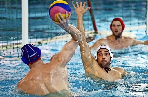 Heiko Nossek (weiße Badekappe)  will auch beim Olympia-Qualifikationsturnier  in Italien vollen Einsatz zeigen Foto: Baumann