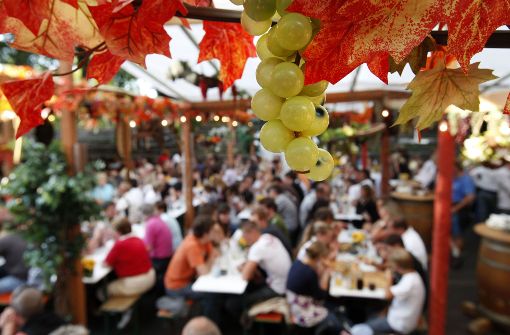 Auf den Weindörfern in Kirchheim und Nürtingen kommen Weinliebhaber auf ihre Kosten. Foto: Pressefoto Horst Rudel