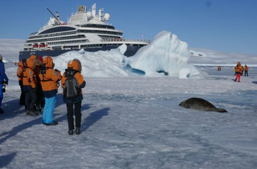 Mit dem Eisbrecher-Kreuzfahrschiff kann man direkt zu den Tieren im antarktischen Packeis fahren. Foto: Zintz