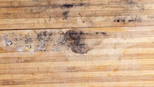 Neun hilfreiche Tipps, um Schimmel von Holz zu entfernen.