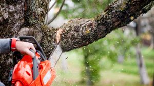 Achtung bei Baumarbeiten: Hier gibt es klare Vorschriften. Foto: bogdanhoda / shutterstock.com