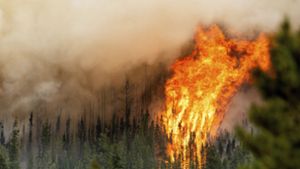 Waldbrände in Kanada 2023. (Archivbild) Foto: dpa/Noah Berger
