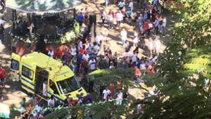 Tragödie auf Madeira – Mehrere Menschen wurden von einem umstürzenden Baum in den Tod gerissen. Foto: dpa