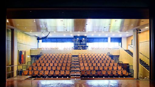Hier wird auch künftig Theater gespielt: Die Bühne im Leonberg Spitalhof. Foto: Simon Granville/Simon Granville