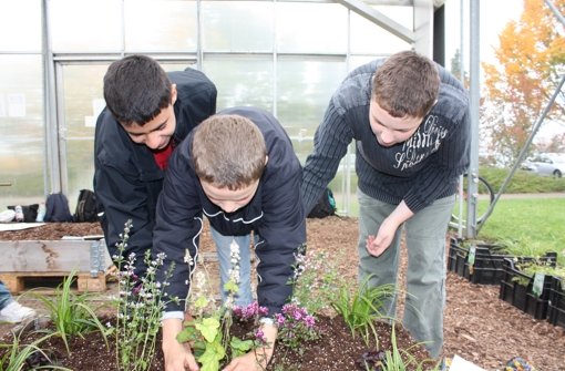 Jeden Herbst findet ein Informationstag für Schüler über die Berufe Gärtner und Florist an der Staatsschule für Gartenbau und Landwirtschaft statt. Foto: Stefanie Köhler