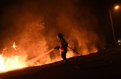Bei den Waldbränden in Portugal sind mindestens 37 Menschen ums Leben gekommen. Foto: AFP
