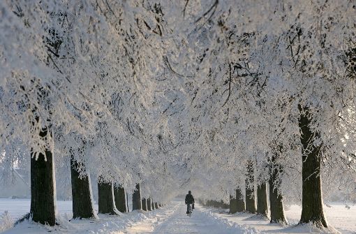Der Winter sorgt für Bibber-Kälte in Deutschland (Symbolbild). Foto: dpa-Zentralbild
