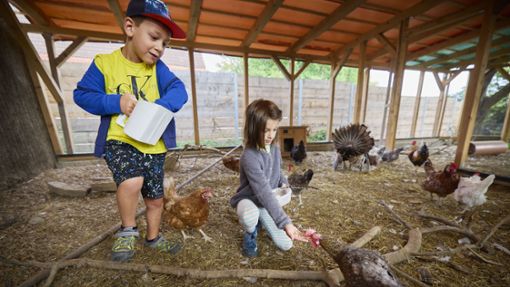 Der respektvolle Umgang mit Tieren ist eines der Dinge, die Kinder in der Bauernhofkita lernen. Foto: Gottfried Stoppel/Gottfried Stoppel
