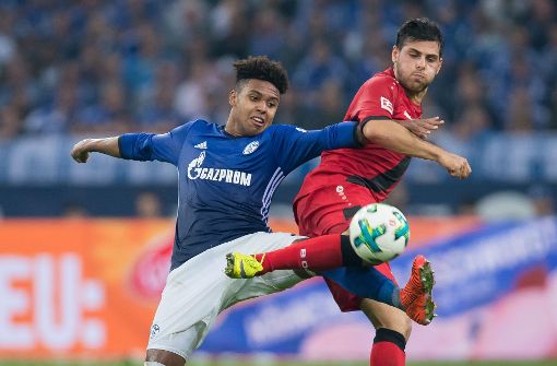 Schalkes Weston McKennie (l) und Leverkusens Kevin Volland kämpfen um den Ball. Foto: dpa